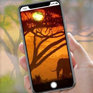 Meet your Posher, April